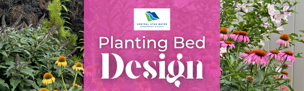Plant Bed